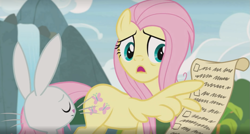 Size: 1205x645 | Tagged: safe, screencap, angel bunny, fluttershy, pegasus, pony, rabbit, she talks to angel, animal, checklist, cropped, female, list, male, mare, pointing, wing hands, wingers, wings