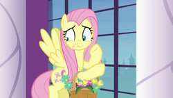 Size: 1920x1080 | Tagged: safe, screencap, fluttershy, pegasus, pony, between dark and dawn, basket, solo