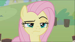 Size: 1278x721 | Tagged: safe, screencap, angel bunny, fluttershy, pegasus, pony, she talks to angel, angel is not amused, body swap, close-up, cropped, female, frown, lidded eyes, mare, raised eyebrow, solo