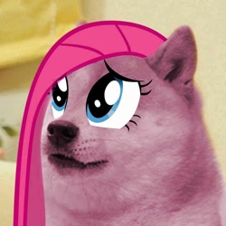 Size: 960x960 | Tagged: safe, artist:rayscratch, edit, pinkie pie, pony, doge, female, meme, pinkamena diane pie, sad, shiba inu, shibe, solo, wat