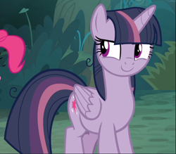 Size: 1070x938 | Tagged: safe, screencap, mean twilight sparkle, pinkie pie, alicorn, earth pony, pony, the mean 6, clone, cropped, female, mare, offscreen character, solo focus