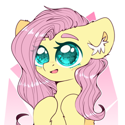 Size: 2000x2000 | Tagged: safe, artist:etoz, fluttershy, pegasus, pony, abstract background, blushing, bust, colored pupils, cute, ear fluff, eye clipping through hair, eyebrows visible through hair, female, leg fluff, mare, open mouth, shyabetes, solo