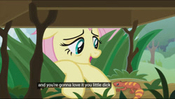 Size: 1360x768 | Tagged: safe, edit, edited screencap, screencap, fluttershy, gecko, pegasus, pony, she talks to angel, caption, meme, rude, vulgar, youtube caption