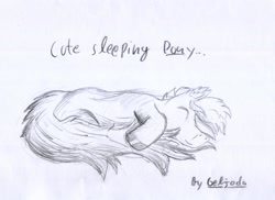 Size: 2825x2059 | Tagged: safe, artist:geljado, oc, oc only, monochrome, simple background, sketch, sleeping, solo, traditional art, white background