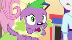 Size: 1272x718 | Tagged: safe, screencap, fluttershy, rarity, spike, spike the regular dog, dog, equestria girls, movie magic, spoiler:eqg specials, female, offscreen character, paws, tail