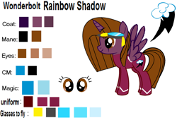 Size: 1024x683 | Tagged: safe, alternate version, oc, oc only, alicorn, alicorn oc, clothes, eye, eyes, reference sheet, simple background, uniform, white background, wonderbolts, wonderbolts uniform