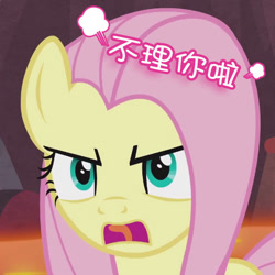 Size: 522x522 | Tagged: safe, edit, edited screencap, screencap, fluttershy, pegasus, pony, sweet and smoky, angry, china, chinese, cropped, solo