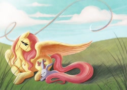 Size: 900x637 | Tagged: safe, artist:cold-creature, angel bunny, fluttershy, pegasus, pony, rabbit, animal, duo, female, grass, grass field, head turn, implied rainbow dash, looking at something, looking down, mare, one wing out, outdoors, prone, rainbow trail, sky, smiling, stray strand, wings