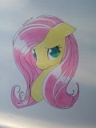 Size: 3024x4032 | Tagged: safe, artist:colorful-horses, fluttershy, pegasus, pony, bust, female, floppy ears, looking at you, mare, portrait, signature, solo, three quarter view, traditional art