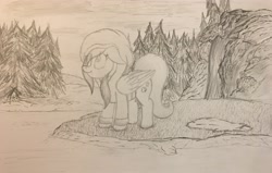 Size: 3933x2505 | Tagged: safe, fluttershy, pegasus, pony, cute, forest, nature, pine tree, sketch, solo, traditional art, tree, waterfall