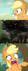 Size: 1008x2528 | Tagged: safe, edit, edited screencap, screencap, applejack, butterfly, earth pony, fly, insect, pony, sounds of silence, close-up, crossover, female, hat, mare, meme, nickelodeon, open mouth, parody, scared, screaming, spongebob squarepants, wormy