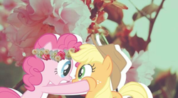 Size: 540x297 | Tagged: artist needed, safe, edit, edited edit, edited screencap, screencap, applejack, pinkie pie, earth pony, pony, applepie, cute, female, lesbian, love, shipping