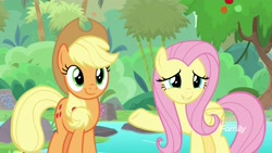 Size: 1920x1080 | Tagged: safe, screencap, applejack, fluttershy, earth pony, pegasus, pony, sounds of silence