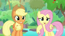 Size: 1920x1080 | Tagged: safe, screencap, applejack, fluttershy, earth pony, pegasus, pony, sounds of silence