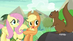 Size: 1920x1080 | Tagged: safe, screencap, applejack, fluttershy, earth pony, pegasus, pony, squirrel, sounds of silence