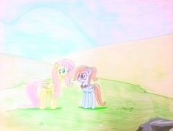 Size: 1107x835 | Tagged: safe, artist:dialysis2day, fluttershy, oc, oc:sally, pegasus, pony, female, teenager, traditional art