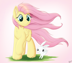 Size: 4500x3927 | Tagged: safe, artist:arcane-thunder, angel bunny, fluttershy, pegasus, pony, absurd resolution, cheek fluff, chest fluff, cute, duo, ear fluff, female, grass, male, mare, shyabetes, simple background, smiling, windswept mane