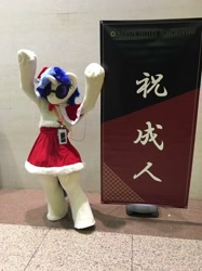 Size: 719x960 | Tagged: safe, artist:luna_b_, dj pon-3, vinyl scratch, human, christmas, christmas clothing, christmas outfit, clothes, cosplay, costume, fursuit, hat, holiday, irl, irl human, japan, photo, santa hat