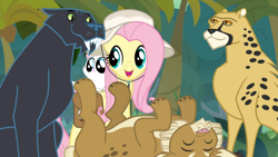 Size: 1920x1080 | Tagged: safe, screencap, fluttershy, big cat, cat, leopard, pegasus, pony, daring doubt, cougar (animal), cute, shyabetes