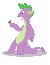 Size: 600x776 | Tagged: safe, artist:queencold, spike, bird, dragon, older, older spike, robin, simple background, solo, teenaged dragon, white background