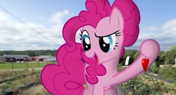 Size: 809x439 | Tagged: safe, artist:faze-alan-mskull2019, pinkie pie, pony, chili, dreamworks face, farm, farmer, food, garden, irl, my little pony, pepper, pepper chili, photo, ponies in real life