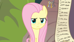 Size: 1920x1080 | Tagged: safe, screencap, fluttershy, pegasus, pony, she talks to angel, checklist, female, fluttershy is not amused, mare, solo, unamused