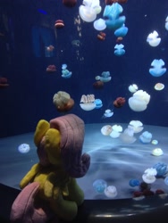 Size: 2448x3264 | Tagged: safe, artist:brekrofmadness, fluttershy, jellyfish, pony, baltimore aquarium, irl, photo, plushie, solo