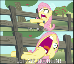 Size: 5051x4400 | Tagged: safe, artist:steyrrdash, derpibooru exclusive, fluttershy, pegasus, pony, buckball season, scare master, .svg available, absurd resolution, angry, apple tree, caption, fence, flutterscream, fluttershy vs door, image macro, let me in, meme, microphone, nose in the air, open mouth, ponified meme, scenery, screaming, solo, text, the eric andre show, tree, vector