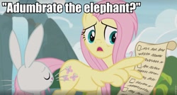 Size: 960x514 | Tagged: safe, edit, edited screencap, screencap, angel bunny, fluttershy, elephant, pegasus, pony, rabbit, she talks to angel, animal, caption, checklist, female, image macro, labyrinth, male, mare, scroll, text, waterfall, wing hands, wings