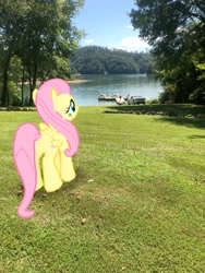 Size: 3024x4032 | Tagged: safe, photographer:undeadponysoldier, fluttershy, human, pegasus, pony, augmented reality, beautiful, boat, female, gameloft, irl, irl human, lake, majestic, mare, photo, ponies in real life, tree, truck, water