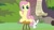 Size: 1920x1080 | Tagged: safe, screencap, angel bunny, fluttershy, pegasus, pony, rabbit, she talks to angel, animal, checklist, duo, female, male, mare, sitting, stool