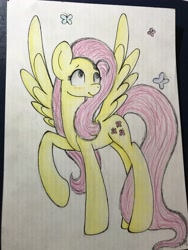 Size: 3024x4032 | Tagged: safe, artist:bilbo1, fluttershy, butterfly, pegasus, pony, photo