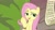 Size: 1920x1080 | Tagged: safe, screencap, fluttershy, pegasus, pony, she talks to angel, checklist, female, lidded eyes, list, mare, solo