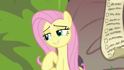 Size: 1920x1080 | Tagged: safe, screencap, fluttershy, pegasus, pony, she talks to angel, checklist, female, lidded eyes, list, mare, solo