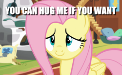 Size: 1022x634 | Tagged: safe, edit, edited screencap, screencap, fluttershy, pegasus, pony, fluttershy leans in, bronybait, caption, cute, female, hug request, image macro, lidded eyes, mare, shyabetes, solo, sweet dreams fuel, text, this will end in cuddles, this will end in snuggles