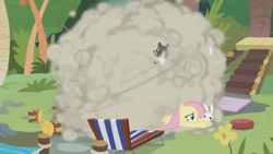 Size: 1600x900 | Tagged: safe, screencap, angel bunny, fluttershy, pegasus, pony, rabbit, raccoon, she talks to angel, animal, ball of violence, chair, chaotic, duo, dust cloud, female, fight, flower, lawn chair, lounge chair, male, mare, sweet feather sanctuary