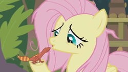 Size: 1600x900 | Tagged: safe, screencap, fluttershy, fire lizard, gecko, lizard, pegasus, pony, she talks to angel, bags under eyes, duo, female, frazzled, mare, sweet feather sanctuary, tired