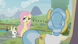 Size: 1600x900 | Tagged: safe, screencap, angel bunny, doctor fauna, fluttershy, earth pony, pegasus, pony, rabbit, she talks to angel, animal, bridge, female, frazzled, male, mare, river, sweet feather sanctuary