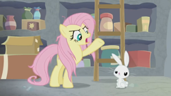 Size: 1600x900 | Tagged: safe, screencap, angel bunny, fluttershy, pegasus, pony, rabbit, she talks to angel, animal, argument, box, container, duo, female, frazzled, ladder, male, mare, shelf, unamused, upset