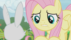 Size: 1366x768 | Tagged: safe, screencap, angel bunny, fluttershy, pegasus, pony, rabbit, she talks to angel, animal, body swap, cheek fluff, duo, female, male, mare, worried