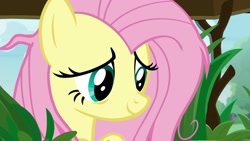 Size: 1920x1080 | Tagged: safe, screencap, fluttershy, pegasus, pony, she talks to angel, cute, female, mare, messy mane, shyabetes, solo