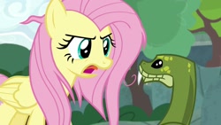 Size: 1920x1080 | Tagged: safe, screencap, antoine, fluttershy, pegasus, pony, python, snake, she talks to angel, duo, female, male, mare, messy mane