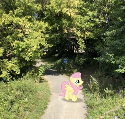 Size: 2777x2635 | Tagged: safe, photographer:undeadponysoldier, fluttershy, pegasus, pony, augmented reality, female, gameloft, irl, mare, photo, ponies in real life, tree