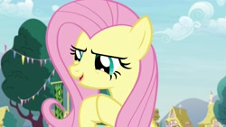 Size: 1920x1080 | Tagged: safe, screencap, angel bunny, fluttershy, pony, she talks to angel, body swap, female, mare, narrowed eyes, solo