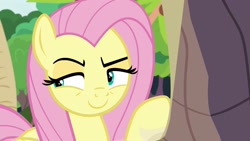 Size: 1920x1080 | Tagged: safe, screencap, angel bunny, fluttershy, pegasus, pony, she talks to angel, body swap, female, lidded eyes, mare, sideways glance, solo