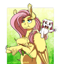 Size: 1124x1181 | Tagged: safe, artist:inuhoshi-to-darkpen, angel bunny, fluttershy, pegasus, pony, rabbit, she talks to angel, animal, body swap, duo, ear tufts, feathered fetlocks, female, flower, hoof hold, male, mare, paws, simple background, transparent background, unamused, underpaw, unshorn fetlocks, wing claws