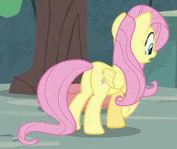 Size: 723x610 | Tagged: safe, screencap, fluttershy, pegasus, pony, she talks to angel, butt, cropped, female, mare, plot, solo