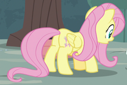 Size: 736x491 | Tagged: safe, screencap, fluttershy, pegasus, pony, she talks to angel, butt, cropped, female, mare, plot, solo