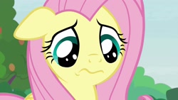 Size: 1920x1080 | Tagged: safe, screencap, angel bunny, fluttershy, pegasus, pony, she talks to angel, female, floppy ears, mare, solo, wavy mouth