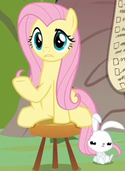 Size: 770x1051 | Tagged: safe, screencap, angel bunny, fluttershy, pegasus, pony, rabbit, she talks to angel, animal, checklist, cropped, crossed arms, duo, female, male, mare, sitting, stool